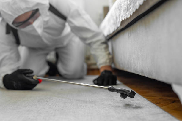 Professional Termite Control technician working in Banning, CA