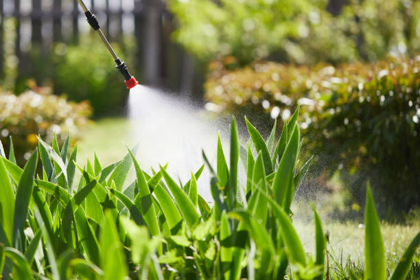 24/7 Emergency Termite Control experts in Banning, CA
