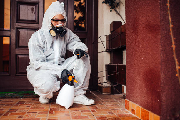 Reliable Termite Control contractor in Banning, CA by Nex Pest Control